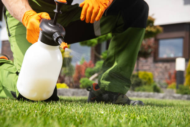 Best Ant Control Services  in Mathis, TX