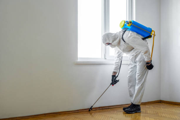 Best Pest Removal Services  in Mathis, TX