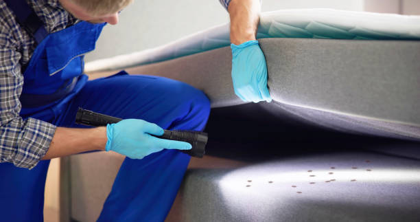 Best Affordable Pest Control Services  in Mathis, TX