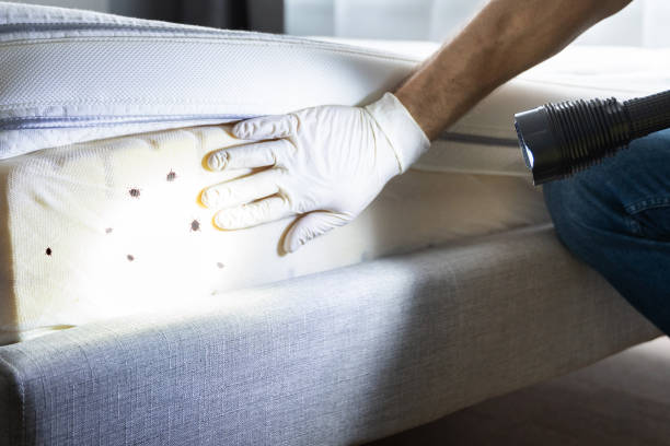 Best Best Pest Control Companies  in Mathis, TX