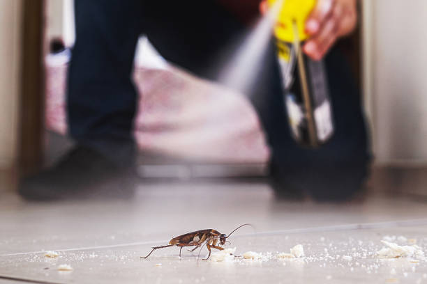 Best Cockroach Control Services  in Mathis, TX